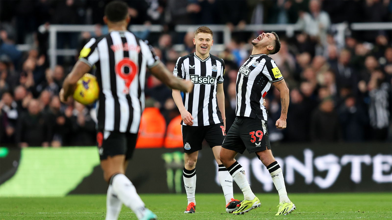 Newcastle Luton Match Ratings And Comments On All The Newcastle