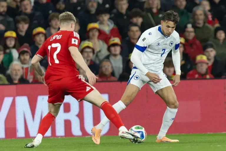 Bosnia and Herzegovina boss explains in detail the Amar Dedić injury situation