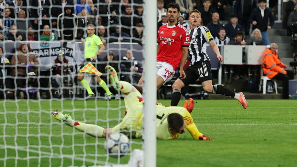 Harvey Barnes Gol Newcastle Benfica Liga De Campeones