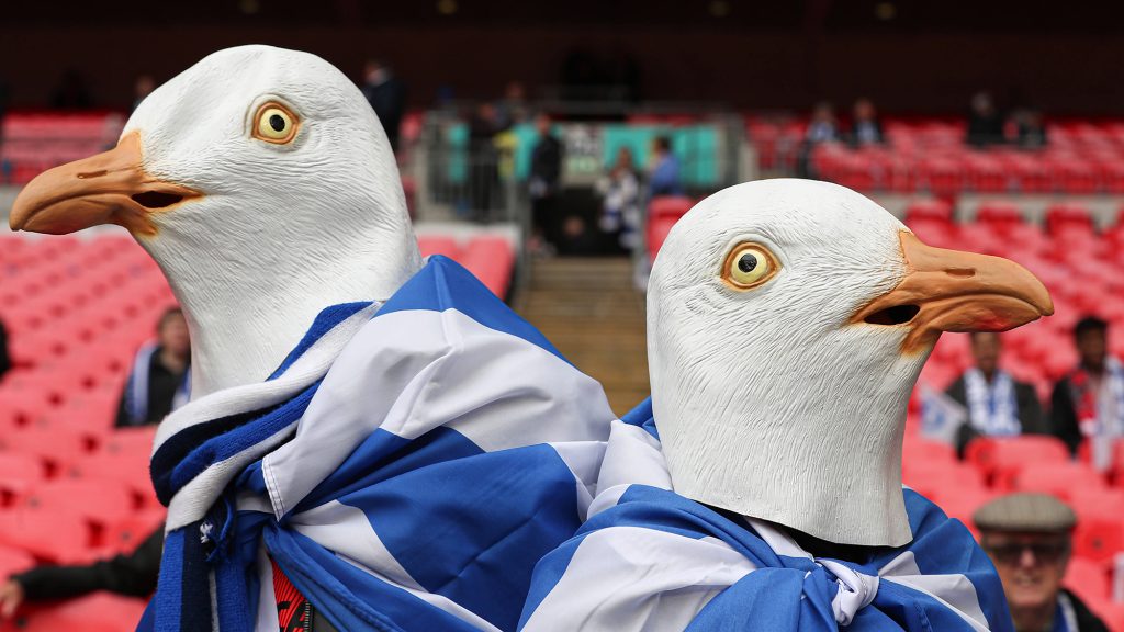 Brighton Fans Seagulls