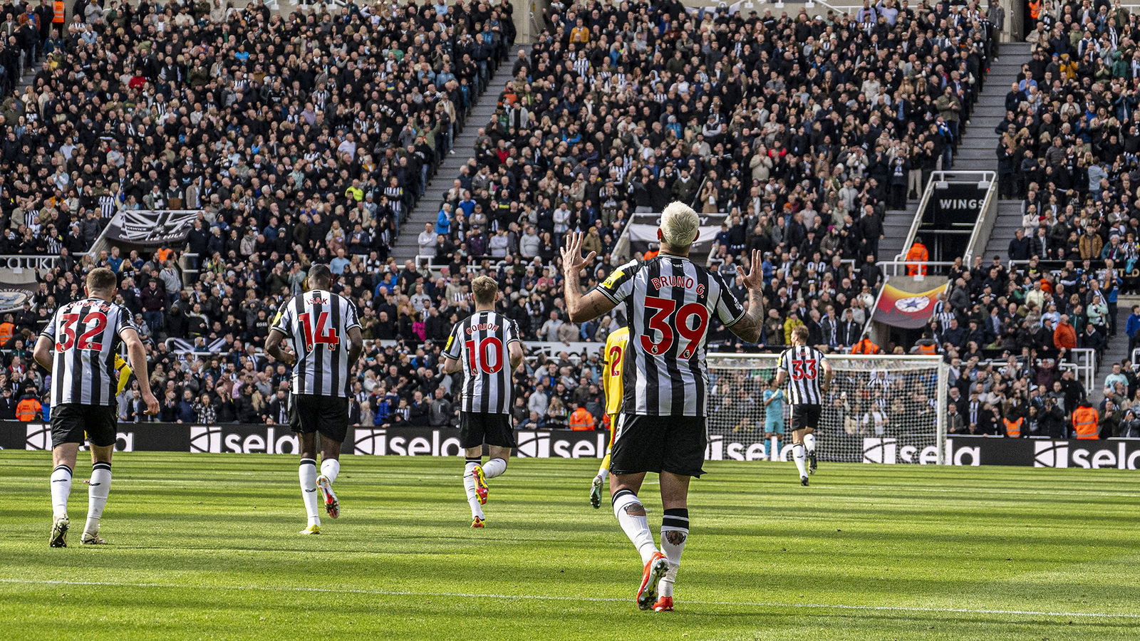 7 Newcastle United players named in this North East Team of the Season