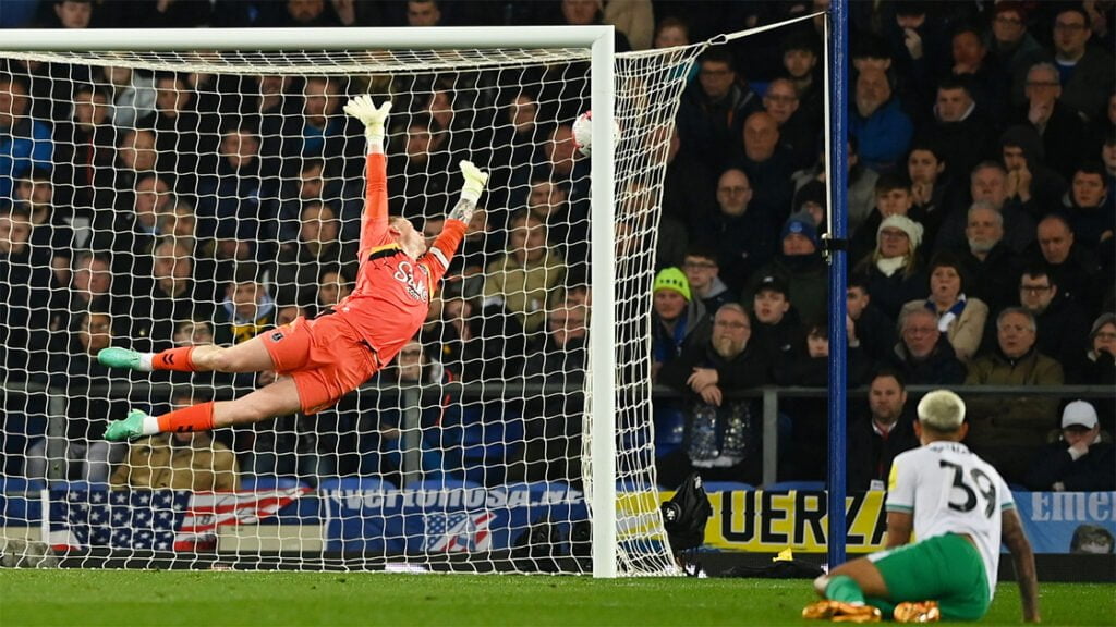 Jordan Pickford Everton Dive