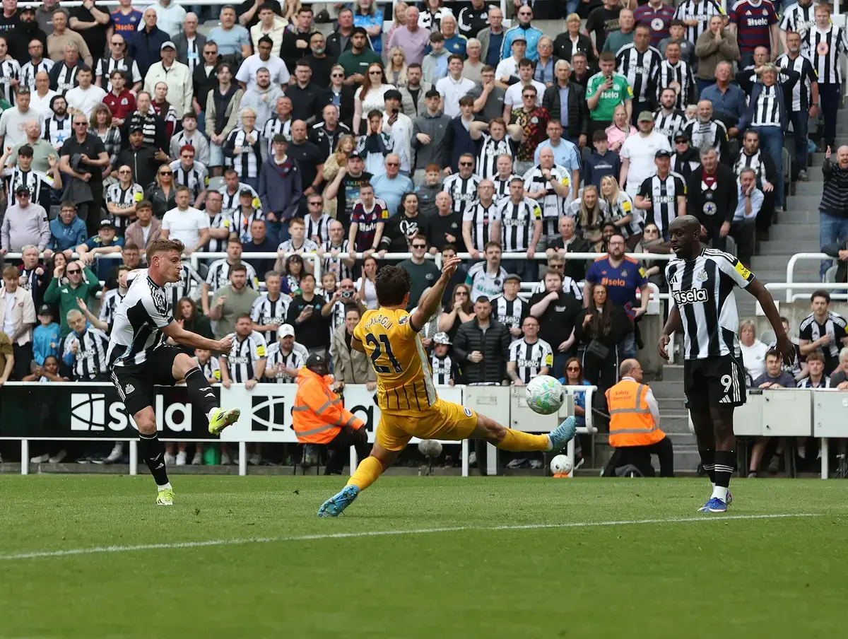 3 Positives and 3 Negatives to take from Newcastle United 3 Brighton 1