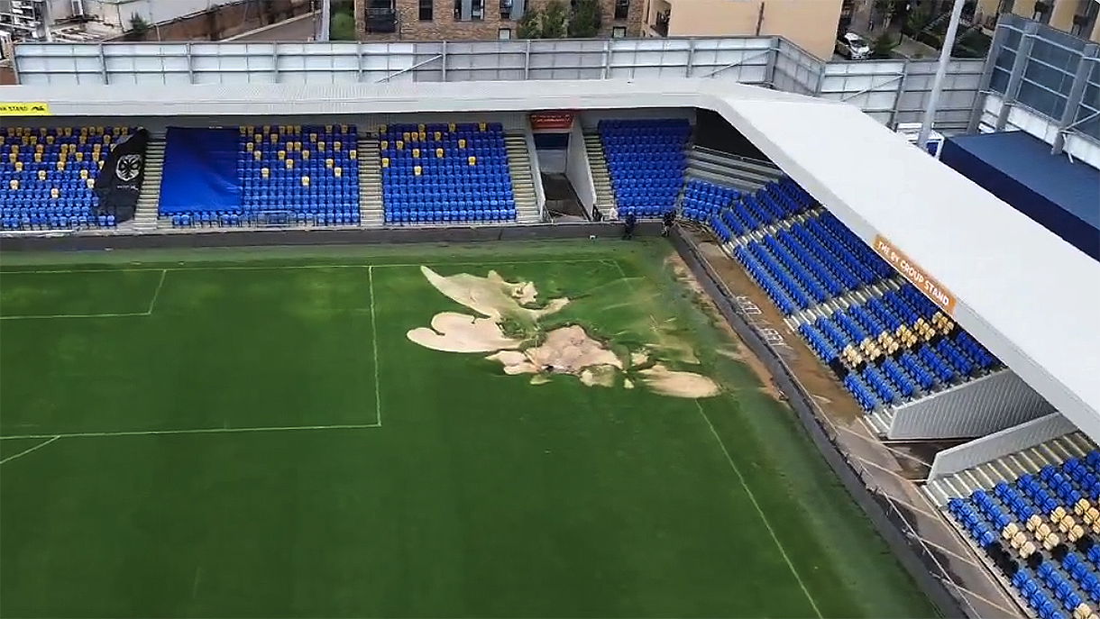 Game on! AFC Wimbledon agree to new venue and date for Newcastle United