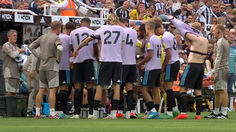 New injury and fitness updates on four Newcastle United players ahead of Crystal Palace on Sunday
